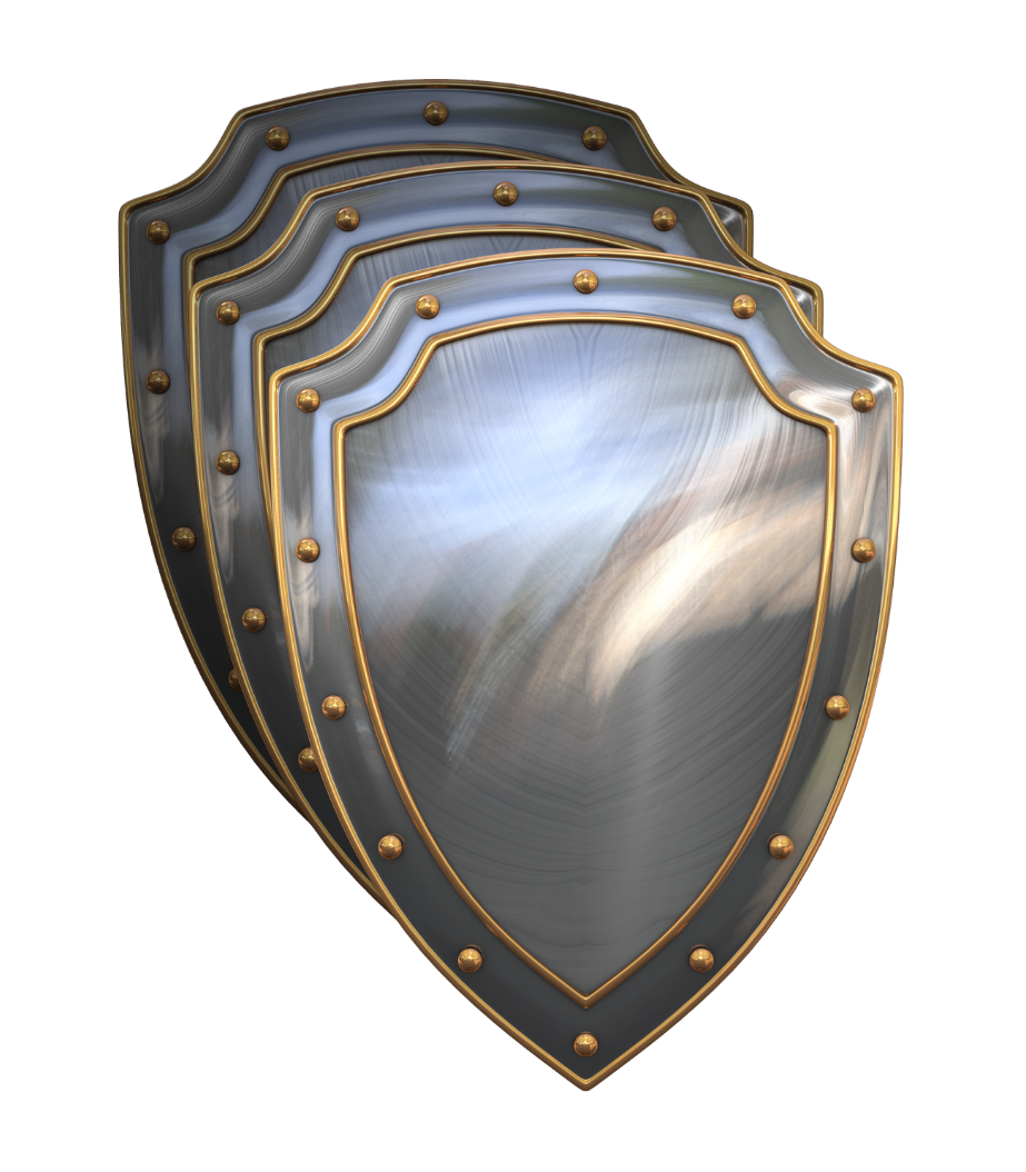 Institutional Security Shield